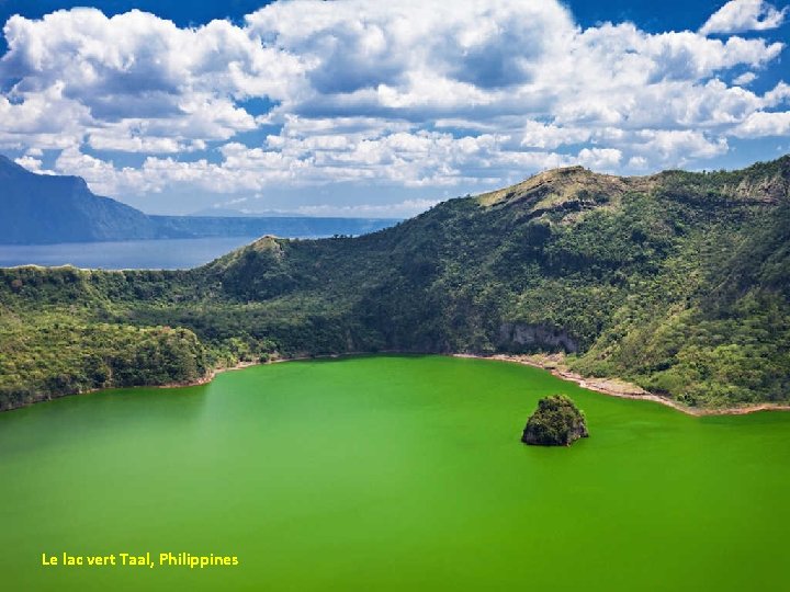 Le lac vert Taal, Philippines 