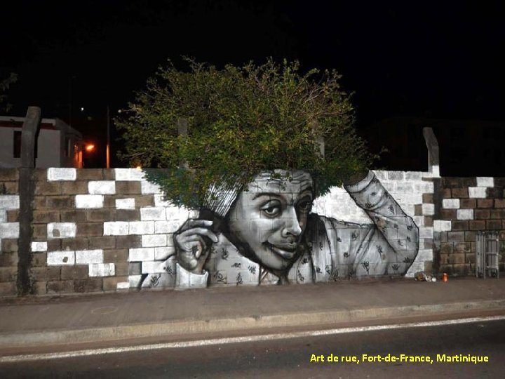 Art de rue, Fort-de-France, Martinique 