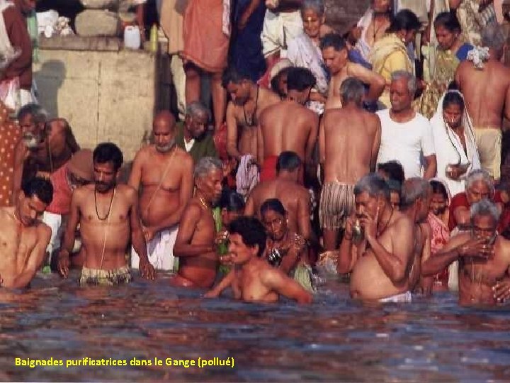 Baignades purificatrices dans le Gange (pollué) 
