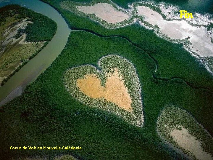 Fin Coeur de Voh en Nouvelle-Calédonie 