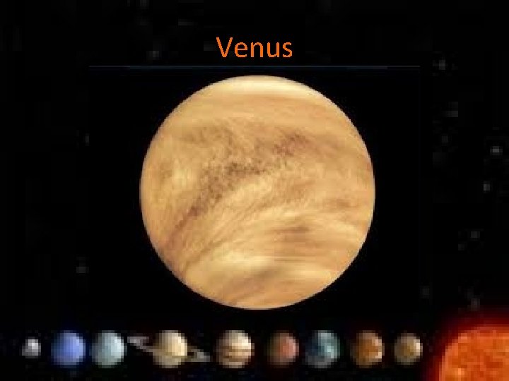Venus 