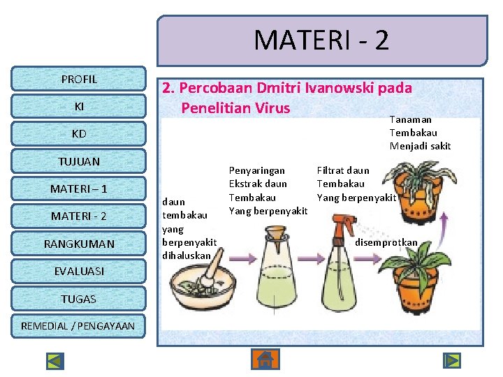 MATERI - 2 PROFIL KI 2. Percobaan Dmitri Ivanowski pada Penelitian Virus Tanaman Tembakau