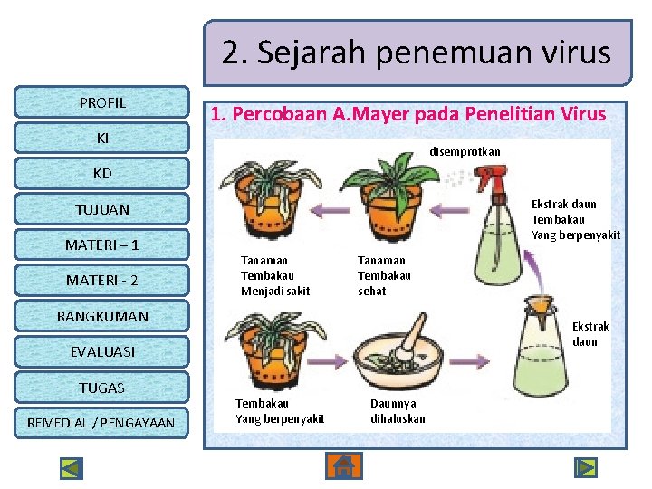 2. Sejarah penemuan virus PROFIL 1. Percobaan A. Mayer pada Penelitian Virus KI disemprotkan