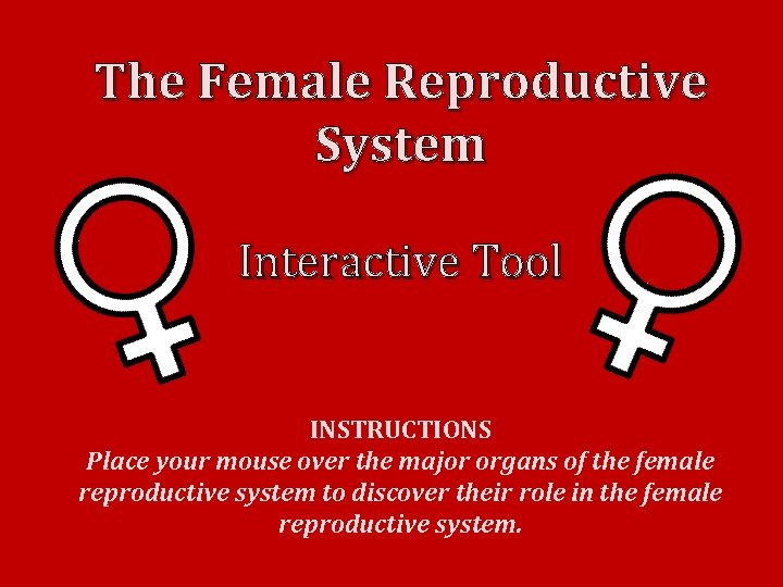 The Female Reproductive System Interactive Tool INSTRUCTIONS Place your mouse over the major organs