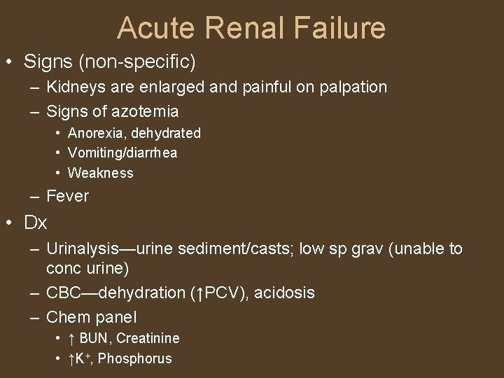 Acute Renal Failure • Signs (non-specific) – Kidneys are enlarged and painful on palpation