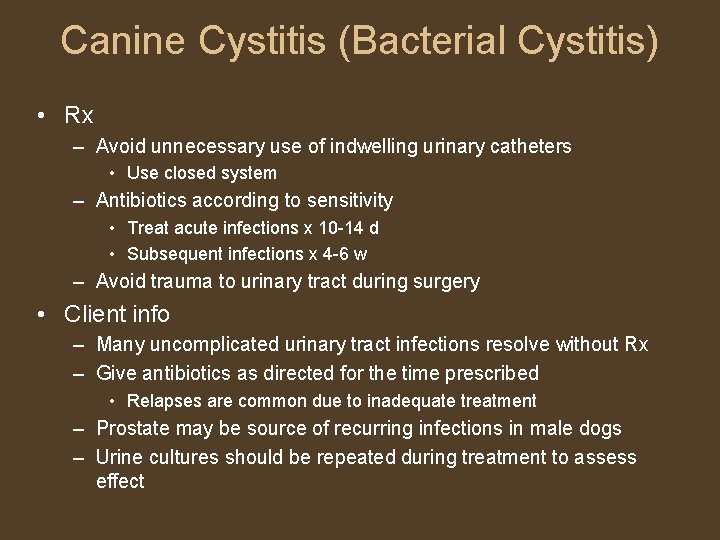 Canine Cystitis (Bacterial Cystitis) • Rx – Avoid unnecessary use of indwelling urinary catheters