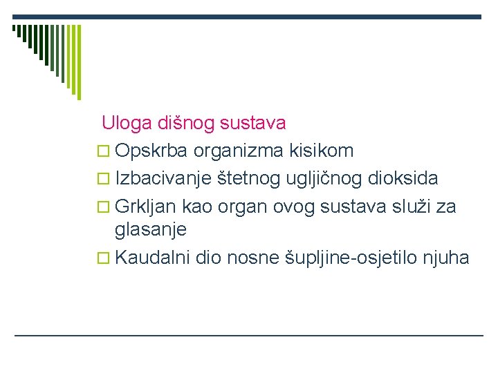 Uloga dišnog sustava o Opskrba organizma kisikom o Izbacivanje štetnog ugljičnog dioksida o Grkljan