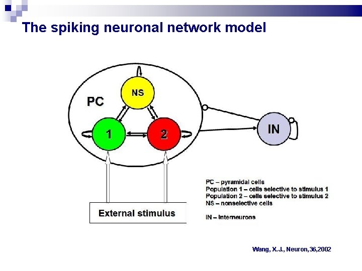 The spiking neuronal network model Wang, X. J. , Neuron, 36, 2002 The spiking neuronal network model Wang, X. J. , Neuron, 36, 2002
