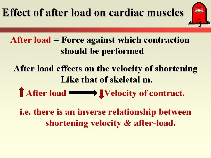 Effect of after load on cardiac muscles After load = Force against which contraction