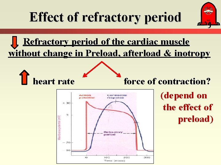Effect of refractory period Refractory period of the cardiac muscle without change in Preload,