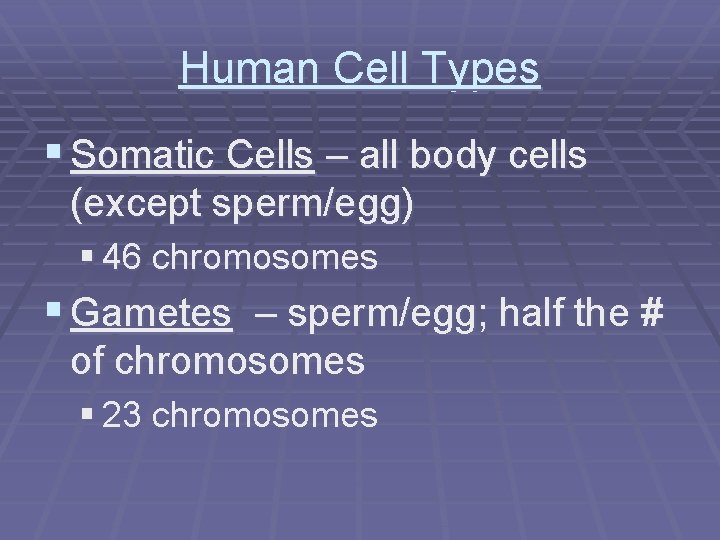 Human Cell Types § Somatic Cells – all body cells (except sperm/egg) § 46