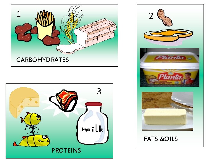 1 2 CARBOHYDRATES salmon 3 FATS &OILS PROTEINS 