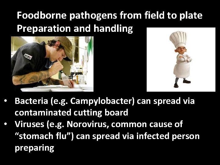 Foodborne pathogens from field to plate Preparation and handling • Bacteria (e. g. Campylobacter)