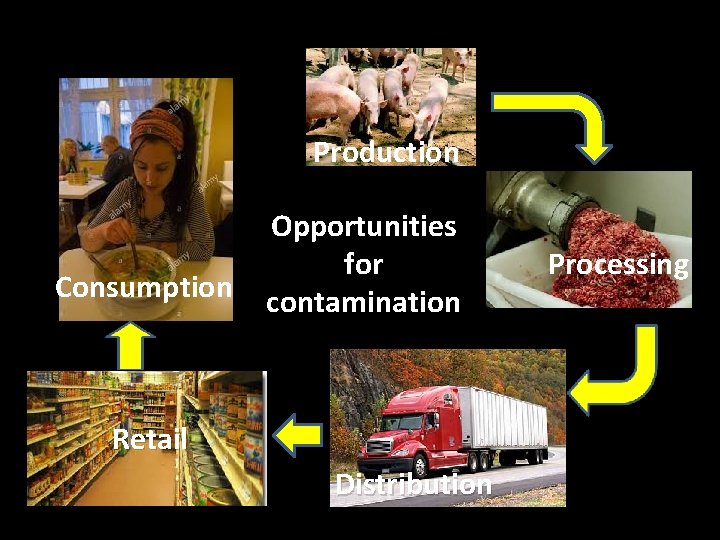 Production Consumption Opportunities for contamination Retail Distribution Processing 