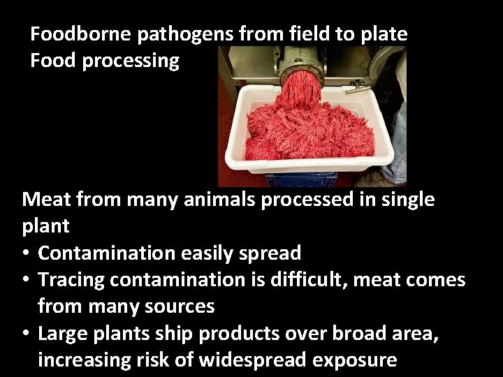 Foodborne pathogens from field to plate Food processing Meat from many animals processed in
