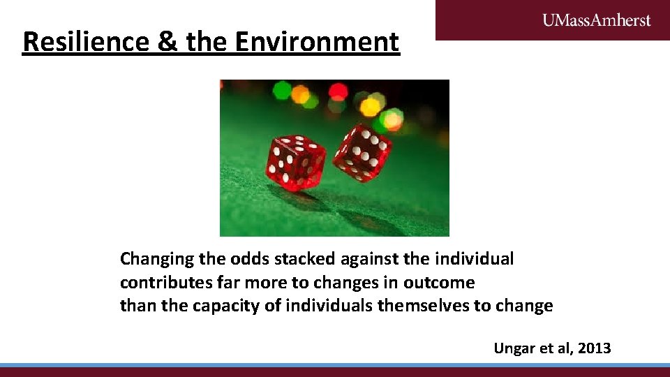 Resilience & the Environment Changing the odds stacked against the individual contributes far more