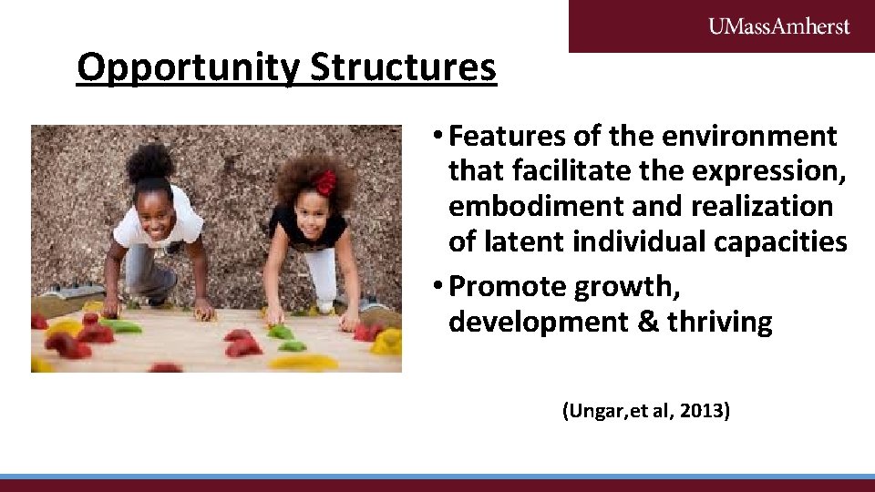 Opportunity Structures • Features of the environment that facilitate the expression, embodiment and realization