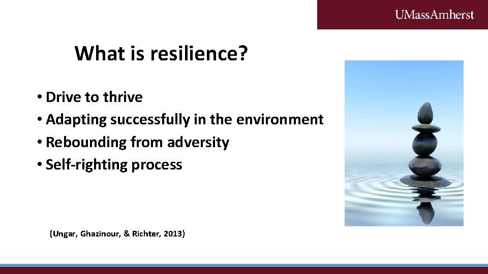 What is resilience? • Drive to thrive • Adapting successfully in the environment •