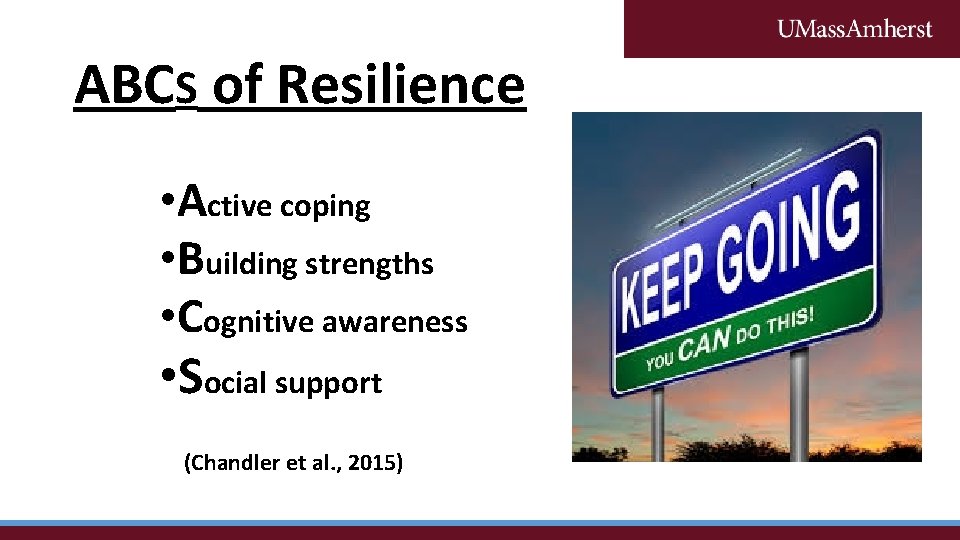 ABCS of Resilience • Active coping • Building strengths • Cognitive awareness • Social