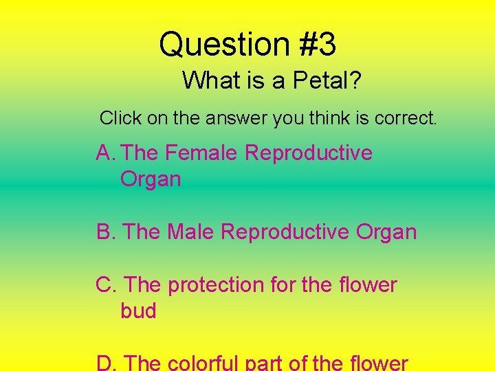 Question #3 What is a Petal? Click on the answer you think is correct.