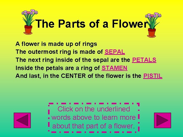 The Parts of a Flower A flower is made up of rings The outermost