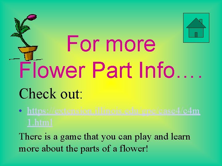 For more Flower Part Info…. Check out: • https: //extension. illinois. edu/gpe/case 4/c 4