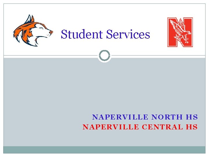 Student Services NAPERVILLE NORTH HS NAPERVILLE CENTRAL HS 