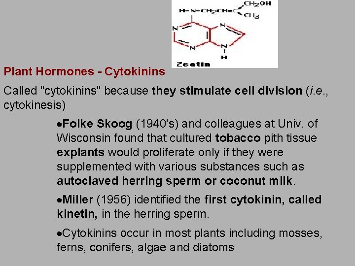 Plant Hormones - Cytokinins Called "cytokinins" because they stimulate cell division (i. e. ,