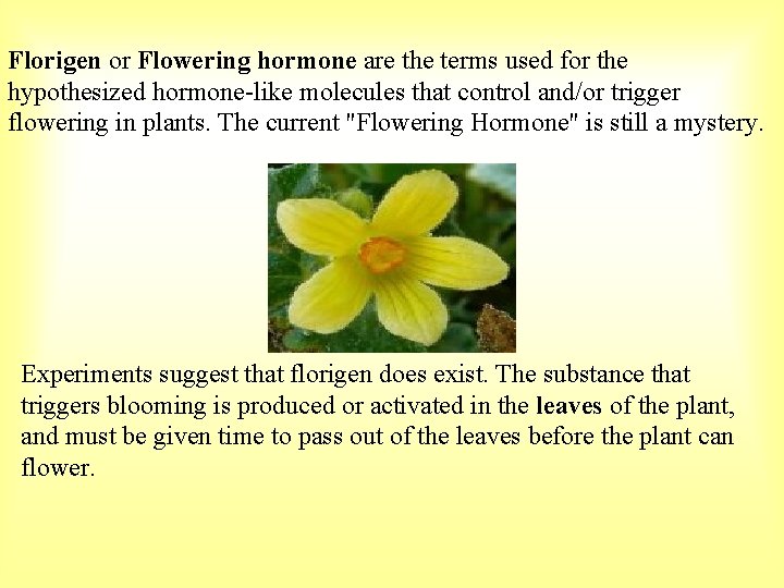 Florigen or Flowering hormone are the terms used for the hypothesized hormone-like molecules that