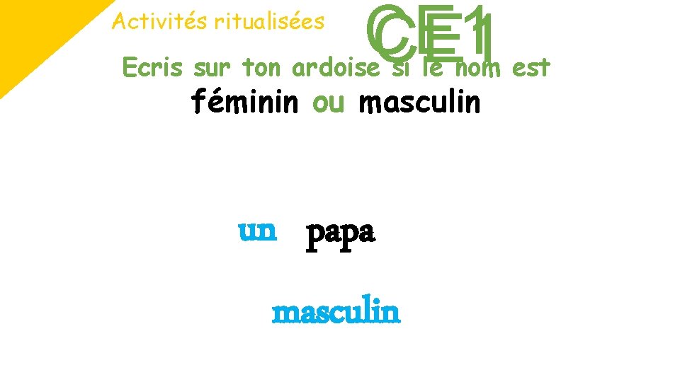 Activités ritualisées CE 1 Ecris sur ton ardoise si le nom est féminin ou