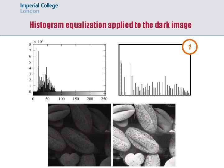 Histogram equalization applied to the dark image 1 