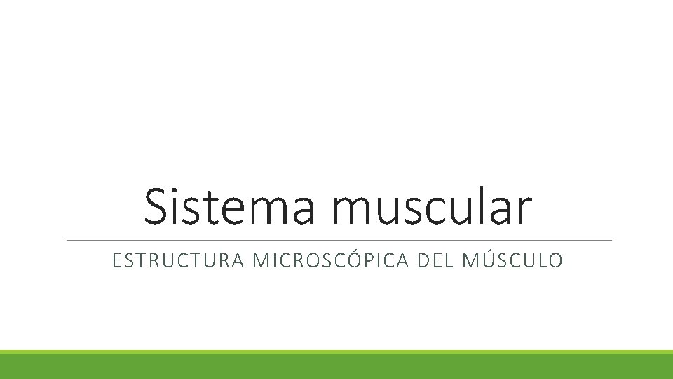 Sistema muscular ESTRUCTURA MICROSCÓPICA DEL MÚSCULO Sistema muscular ESTRUCTURA MICROSCÓPICA DEL MÚSCULO