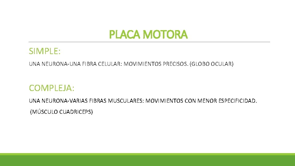 PLACA MOTORA SIMPLE: UNA NEURONA-UNA FIBRA CELULAR: MOVIMIENTOS PRECISOS. (GLOBO OCULAR) COMPLEJA: UNA NEURONA-VARIAS PLACA MOTORA SIMPLE: UNA NEURONA-UNA FIBRA CELULAR: MOVIMIENTOS PRECISOS. (GLOBO OCULAR) COMPLEJA: UNA NEURONA-VARIAS