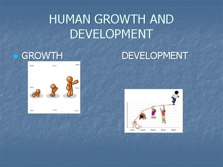 HUMAN GROWTH AND DEVELOPMENT n GROWTH DEVELOPMENT 