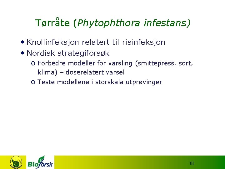 Tørråte (Phytophthora infestans) • Knollinfeksjon relatert til risinfeksjon • Nordisk strategiforsøk o Forbedre modeller