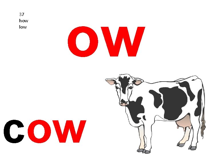 37 how low ow cow 