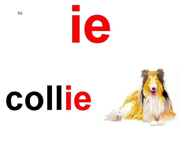 59 ie collie 