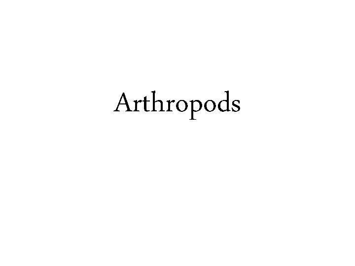 Arthropods 