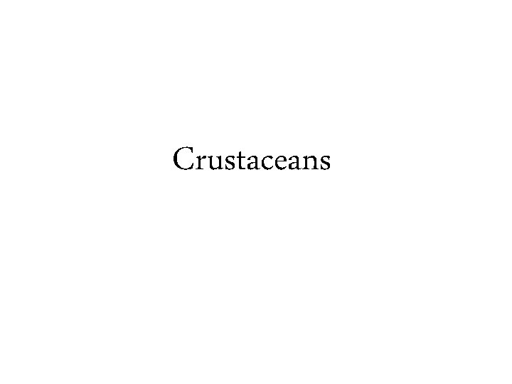 Crustaceans 