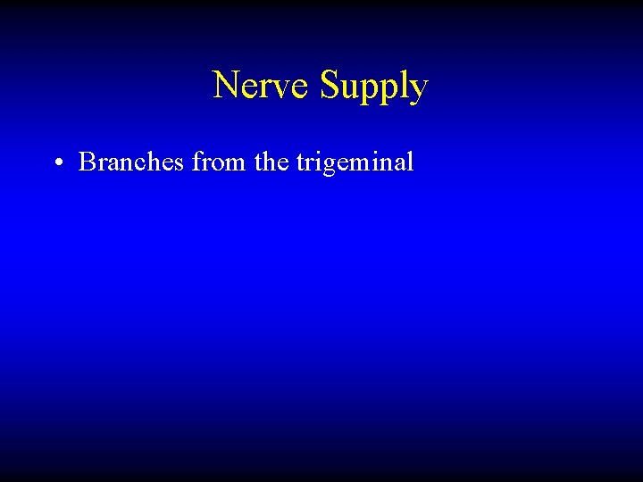 Nerve Supply • Branches from the trigeminal 