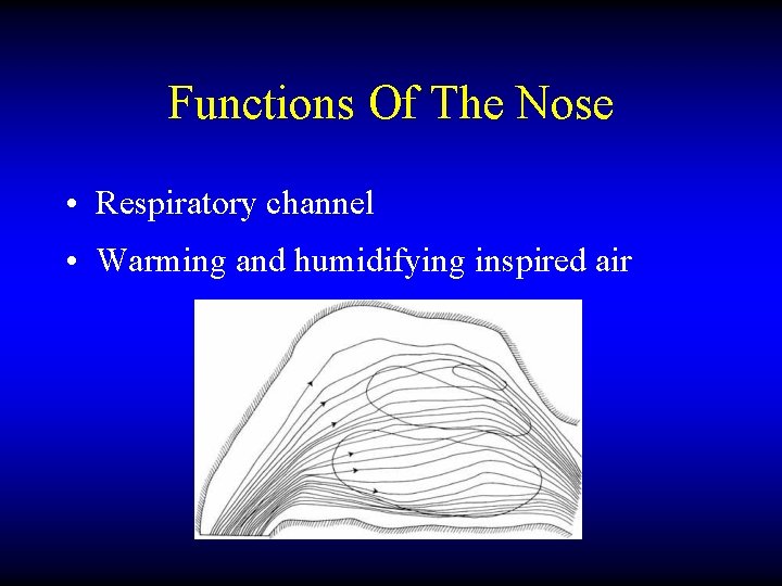Functions Of The Nose • Respiratory channel • Warming and humidifying inspired air 