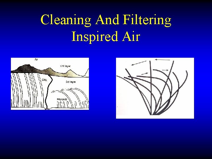 Cleaning And Filtering Inspired Air 