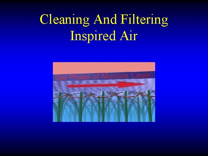 Cleaning And Filtering Inspired Air 