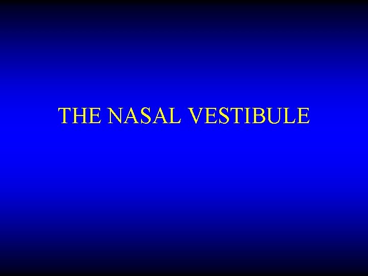THE NASAL VESTIBULE 