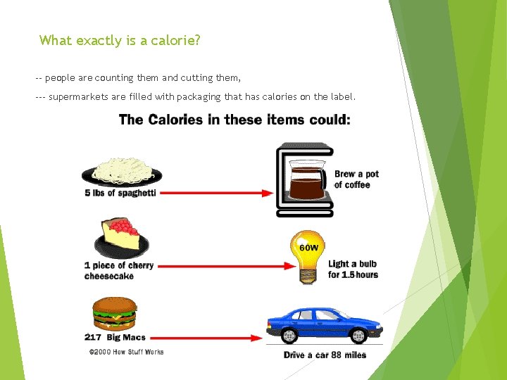 What exactly is a calorie? -- people are counting them and cutting them, ---