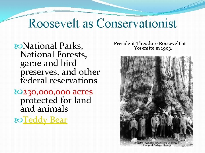 Roosevelt as Conservationist National Parks, National Forests, game and bird preserves, and other federal
