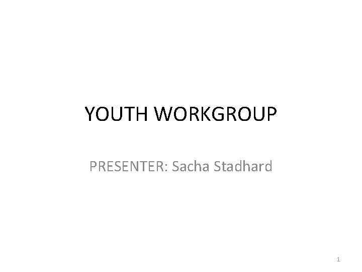 YOUTH WORKGROUP PRESENTER: Sacha Stadhard 1 