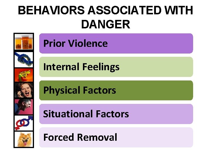 BEHAVIORS ASSOCIATED WITH DANGER Prior Violence Internal Feelings Physical Factors Situational Factors Forced Removal