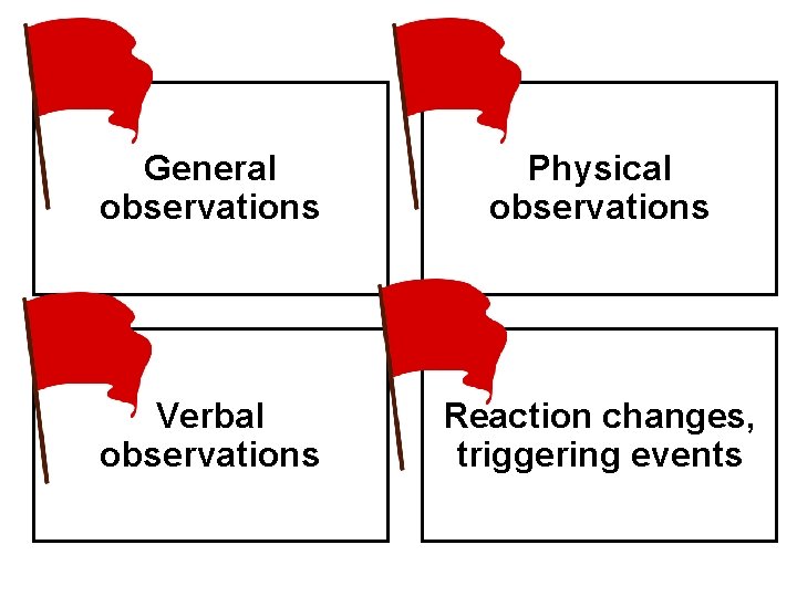 General observations Physical observations Verbal observations Reaction changes, triggering events 