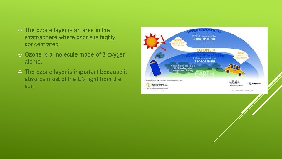  The ozone layer is an area in the stratosphere where ozone is highly